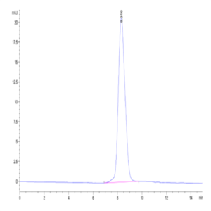 Cynomolgus CCR8 Protein (CCR-CM308)