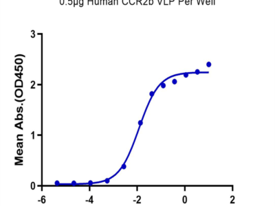 Human CCR2b Protein-VLP (CCR-HM02B)