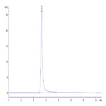Human CCR2b Protein-VLP (CCR-HM02B)