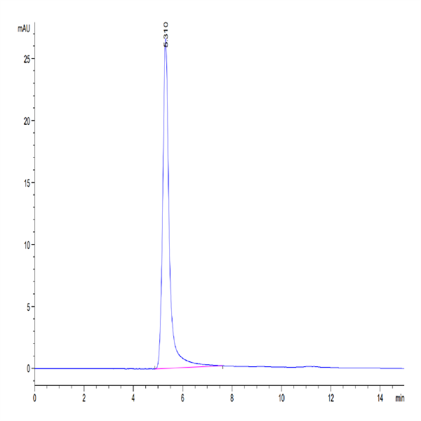 Human CCR2b Protein-VLP (CCR-HM02B)