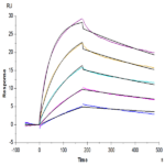 Biotinylated Human CCR2b Protein-VLP (CCR-HM02BB)