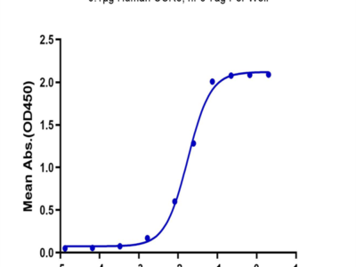 Human CCR8 Protein (CCR-HM208)