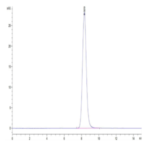 Human CCR8 Protein (CCR-HM208)