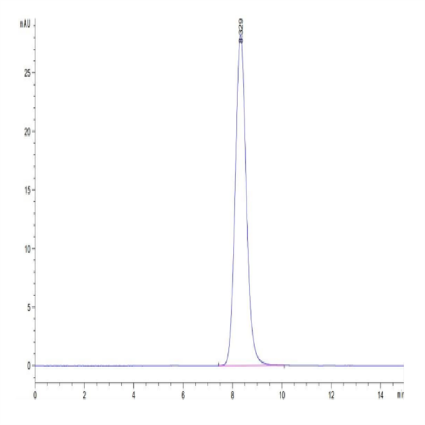 Human CCR8 Protein (CCR-HM208)