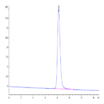 Human CCR8 Protein (CCR-HM308)