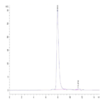 Cynomolgus/Rhesus macaque CD117 Protein (CD1-CM117)