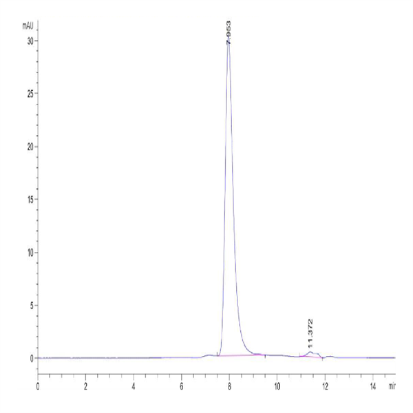 Cynomolgus/Rhesus macaque CD117 Protein (CD1-CM117)