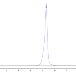 Cynomolgus/Rhesus macaque CD19 Protein (CD1-CM119)