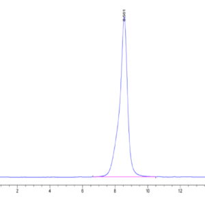 Cynomolgus/Rhesus macaque CD19 Protein (CD1-CM119)