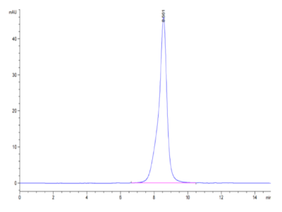 Cynomolgus/Rhesus macaque CD19 Protein (CD1-CM119)