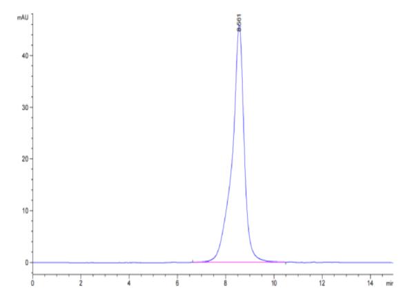 Cynomolgus/Rhesus macaque CD19 Protein (CD1-CM119)