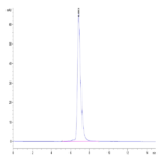 Cynomolgus IL-2 R beta/CD122 Protein (CD1-CM122)