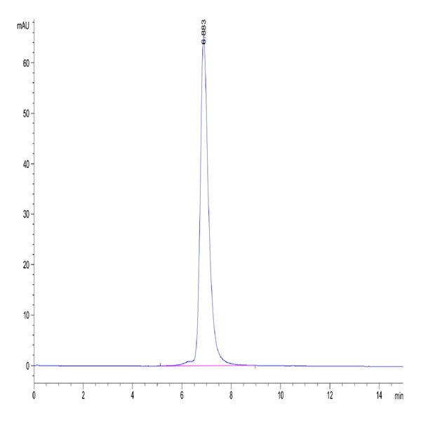 Cynomolgus IL-2 R beta/CD122 Protein (CD1-CM122)