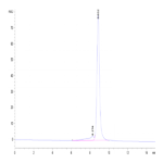 Biotinylated Cynomolgus IL-2 R beta/CD122 Protein (Primary Amine Labeling) (CD1-CM122B)