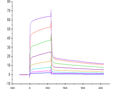 Rhesus macaque CD155/PVR Protein (CD1-CM355)