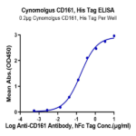 Cynomolgus CD161 Protein (CD1-CM461)