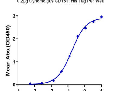 Cynomolgus CD161 Protein (CD1-CM461)