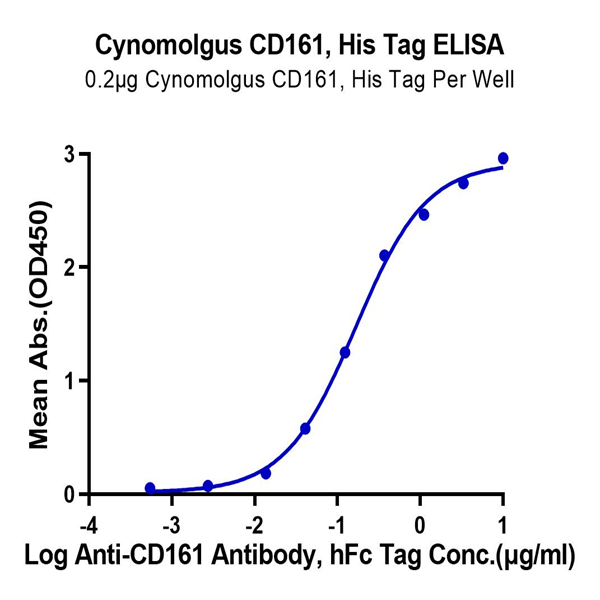 Cynomolgus CD161 Protein (CD1-CM461) Cynomolgus CD161 Protein (CD1-CM461)