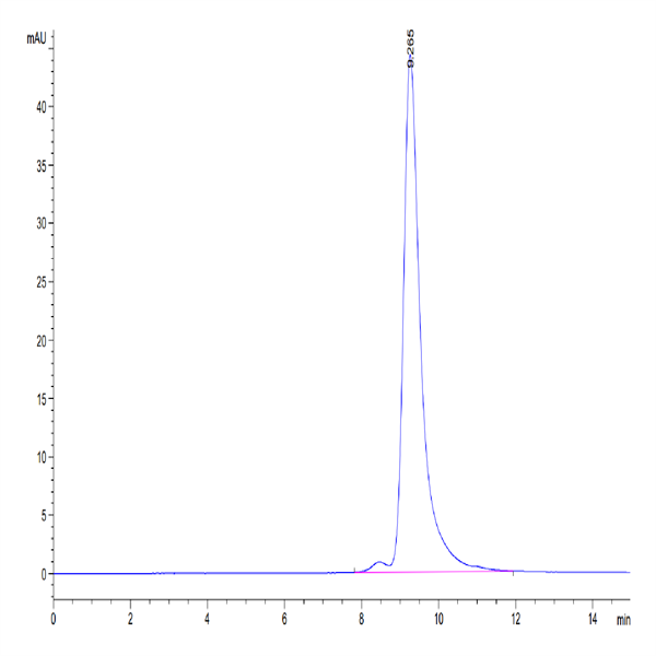 Cynomolgus CD161 Protein (CD1-CM461)