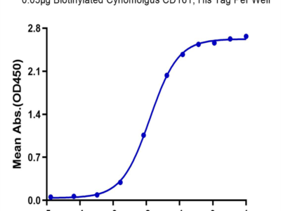 Biotinylated Cynomolgus CD161 Protein (CD1-CM461B)
