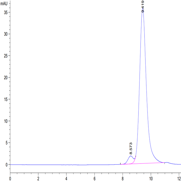 Biotinylated Cynomolgus CD161 Protein (CD1-CM461B)
