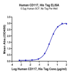 Human CD117 Protein (CD1-HM117)