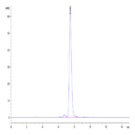 Human CD117 Protein (CD1-HM117)