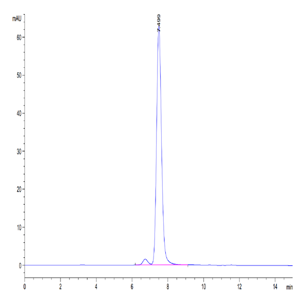 Human CD117 Protein (CD1-HM117)