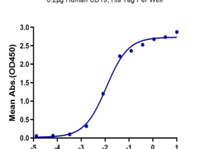 Human CD19 Protein (CD1-HM119)