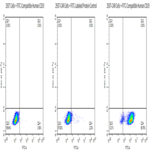 FITC-Compatible Human CD19 Protein (CD1-HM119F)