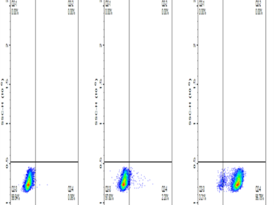 FITC-Compatible Human CD19 Protein (CD1-HM119F)