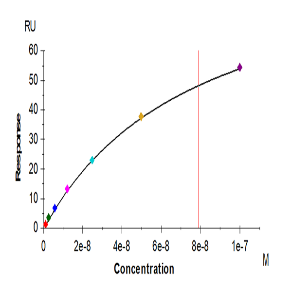 Human CD161 Protein (CD1-HM161) Human CD161 Protein (CD1-HM161)