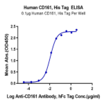Human CD161 Protein (CD1-HM161)