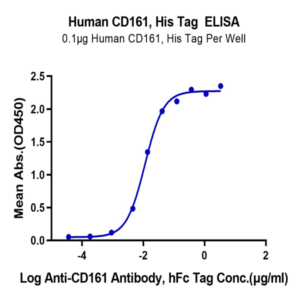 Human CD161 Protein (CD1-HM161)