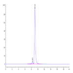 Human CD161 Protein (CD1-HM161)