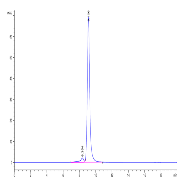 Human CD161 Protein (CD1-HM161)