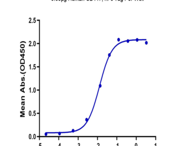 Human CD117 Protein (CD1-HM217)