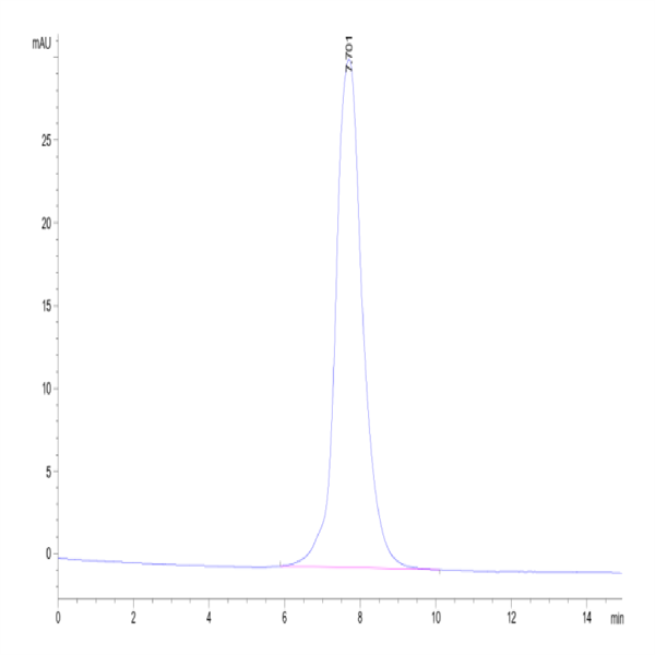 Human IL-2 R beta/CD122 Protein (CD1-HM222)