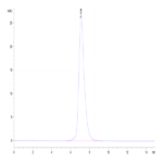 Human IL-2 R gamma/CD132 Protein (CD1-HM232)