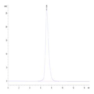 Human IL-2 R gamma/CD132 Protein (CD1-HM232)