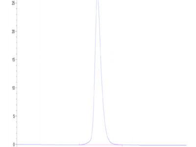 Human IL-2 R gamma/CD132 Protein (CD1-HM232)