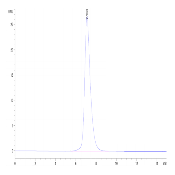 Human IL-2 R gamma/CD132 Protein (CD1-HM232) Human IL-2 R gamma/CD132 Protein (CD1-HM232)