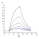 Human CD155/PVR Protein (CD1-HM255)