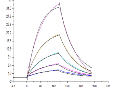 Human CD155/PVR Protein (CD1-HM255)