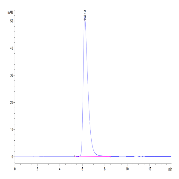 Human CD155/PVR Protein (CD1-HM255)