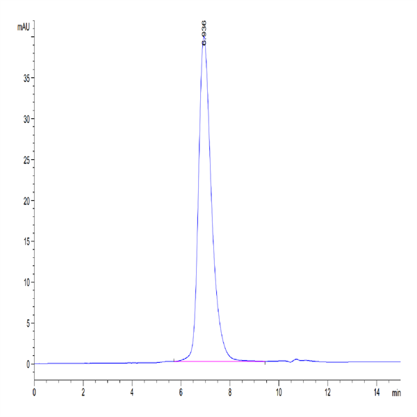 Biotinylated Human CD155/PVR Protein (Primary Amine Labeling) (CD1-HM255B)