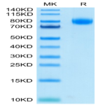 CD1-HM255B-3