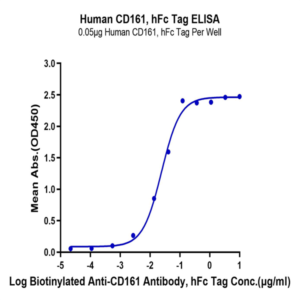 Human CD161 Protein (CD1-HM261)