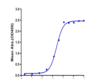 Human CD161 Protein (CD1-HM261)