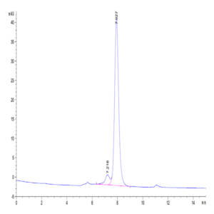 Human CD161 Protein (CD1-HM261)